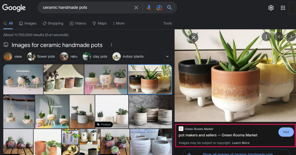 Google Panel with images related to a search
